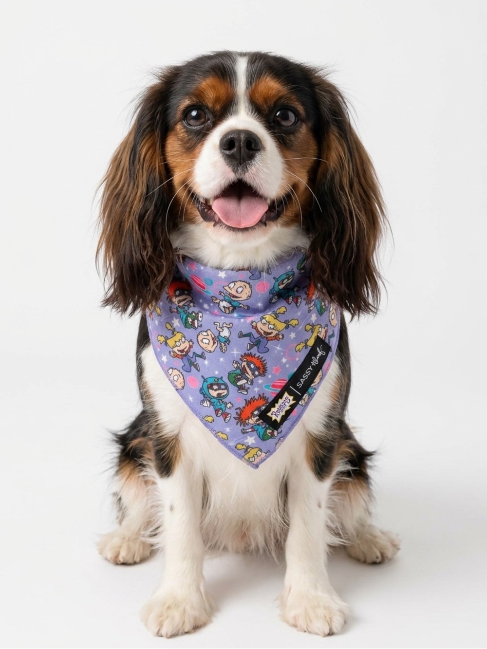 👩🏼‍🎤 {NWOT} Sassy Woof x Nickelodeon Rugrats Print Bandana